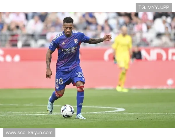 费内巴切签下里昂老将，篮球转会市场动态